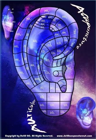 Auricular Acupuncture Puzzle – 300 Pieces Wooden Set