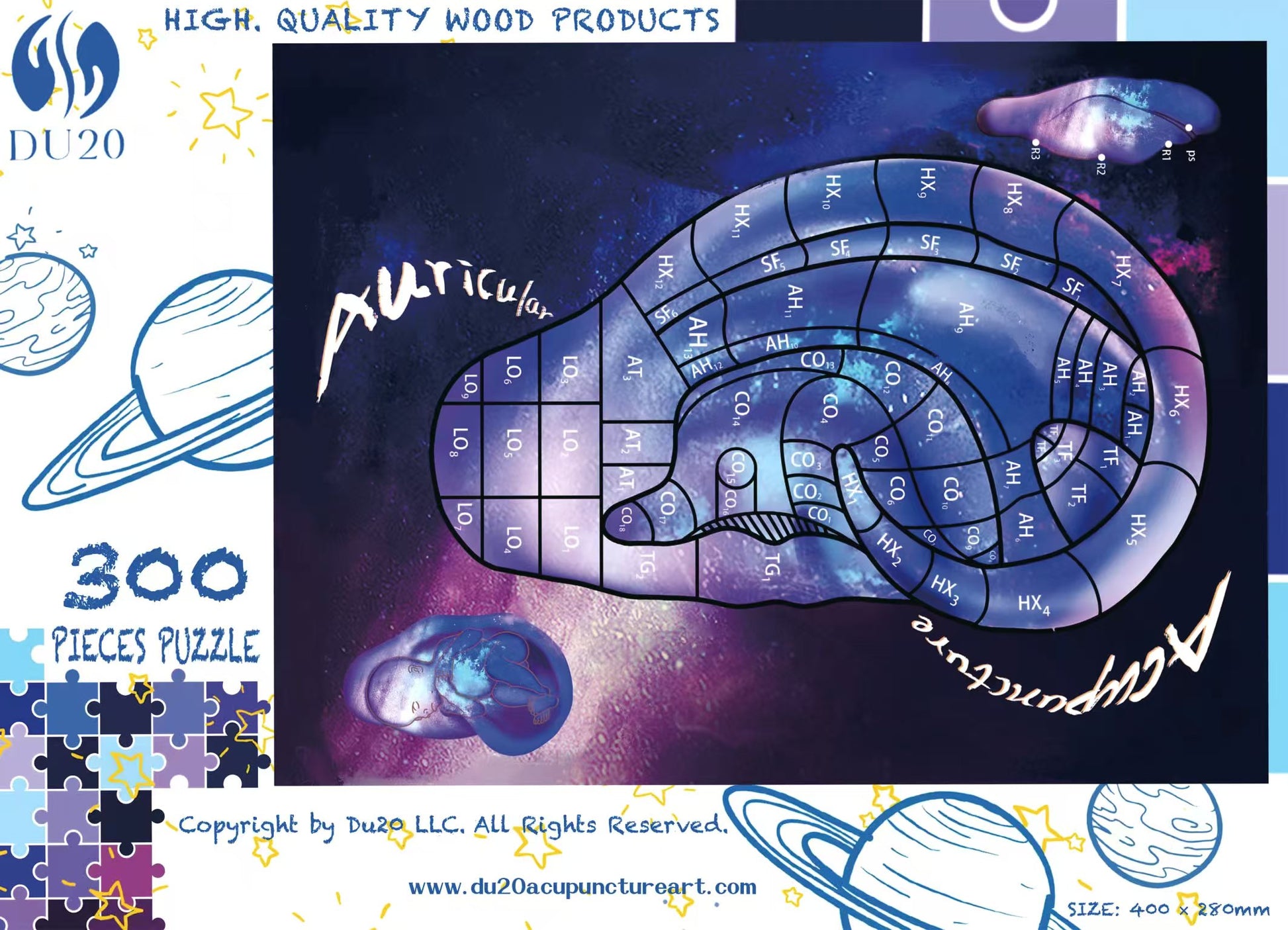 Auricular Acupuncture Puzzle – 300 Pieces Wooden Set