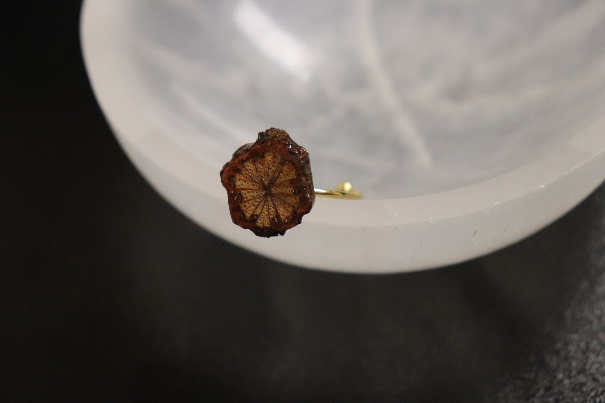 Herbal Ring Collection