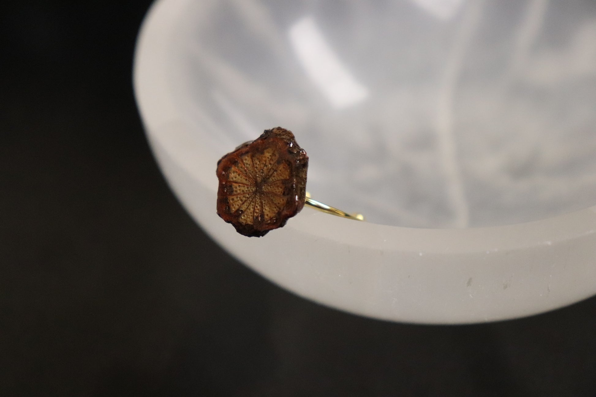 Herbal Ring Collection