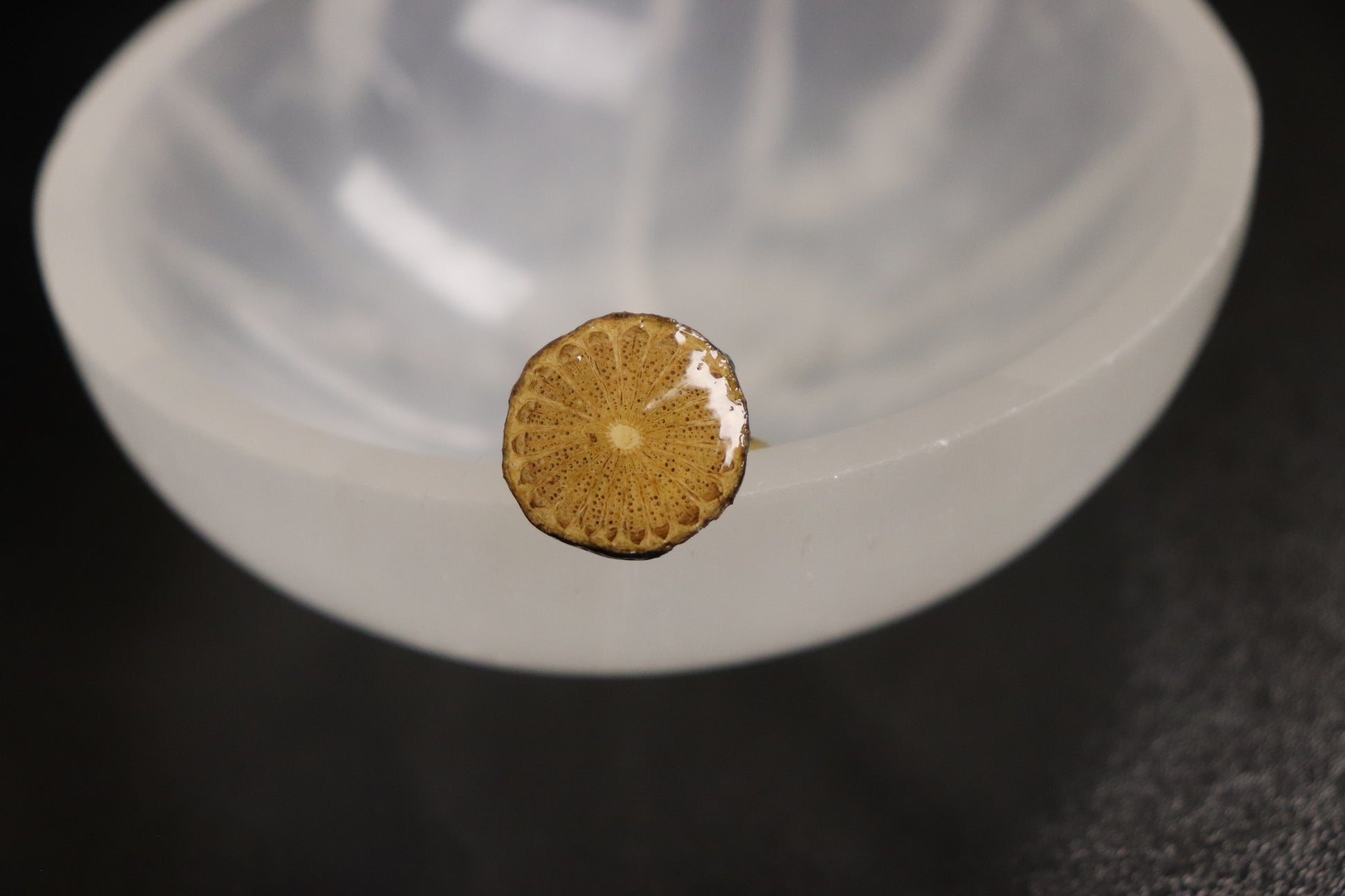 Herbal Ring Collection