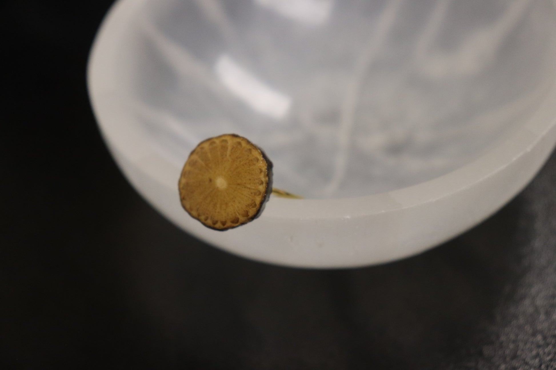 Herbal Ring Collection