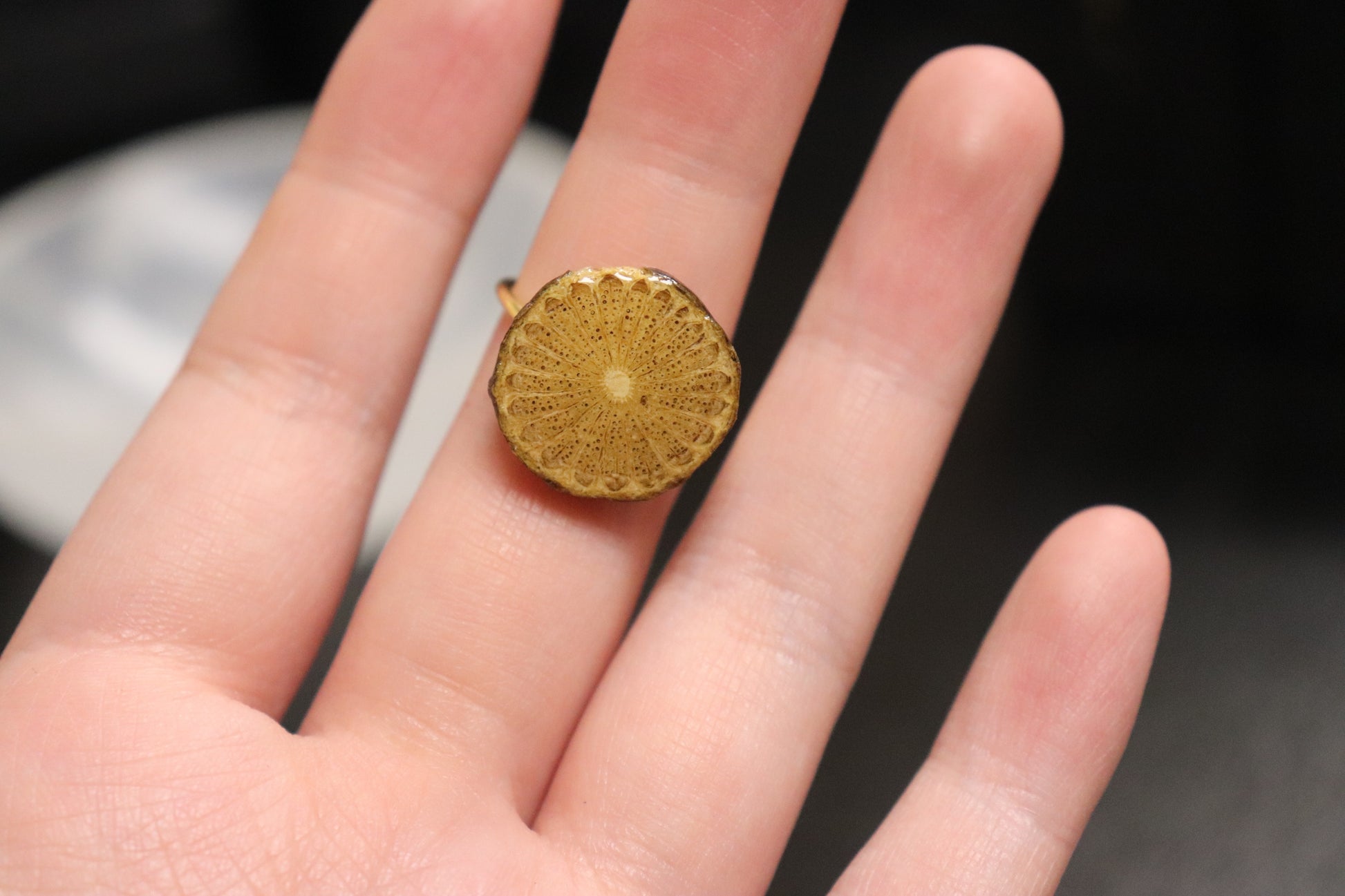 Herbal Ring Collection