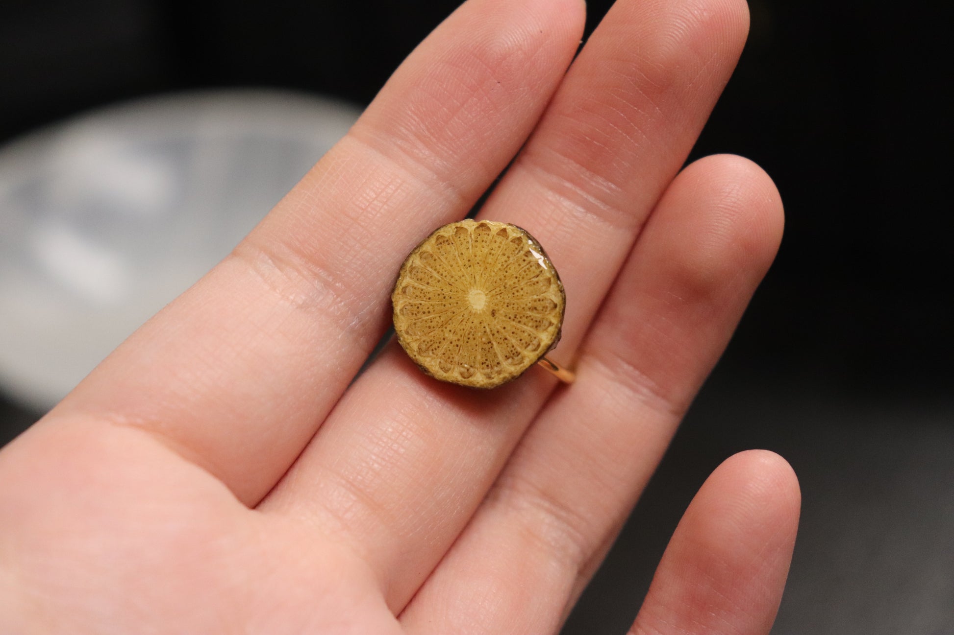 Herbal Ring Collection