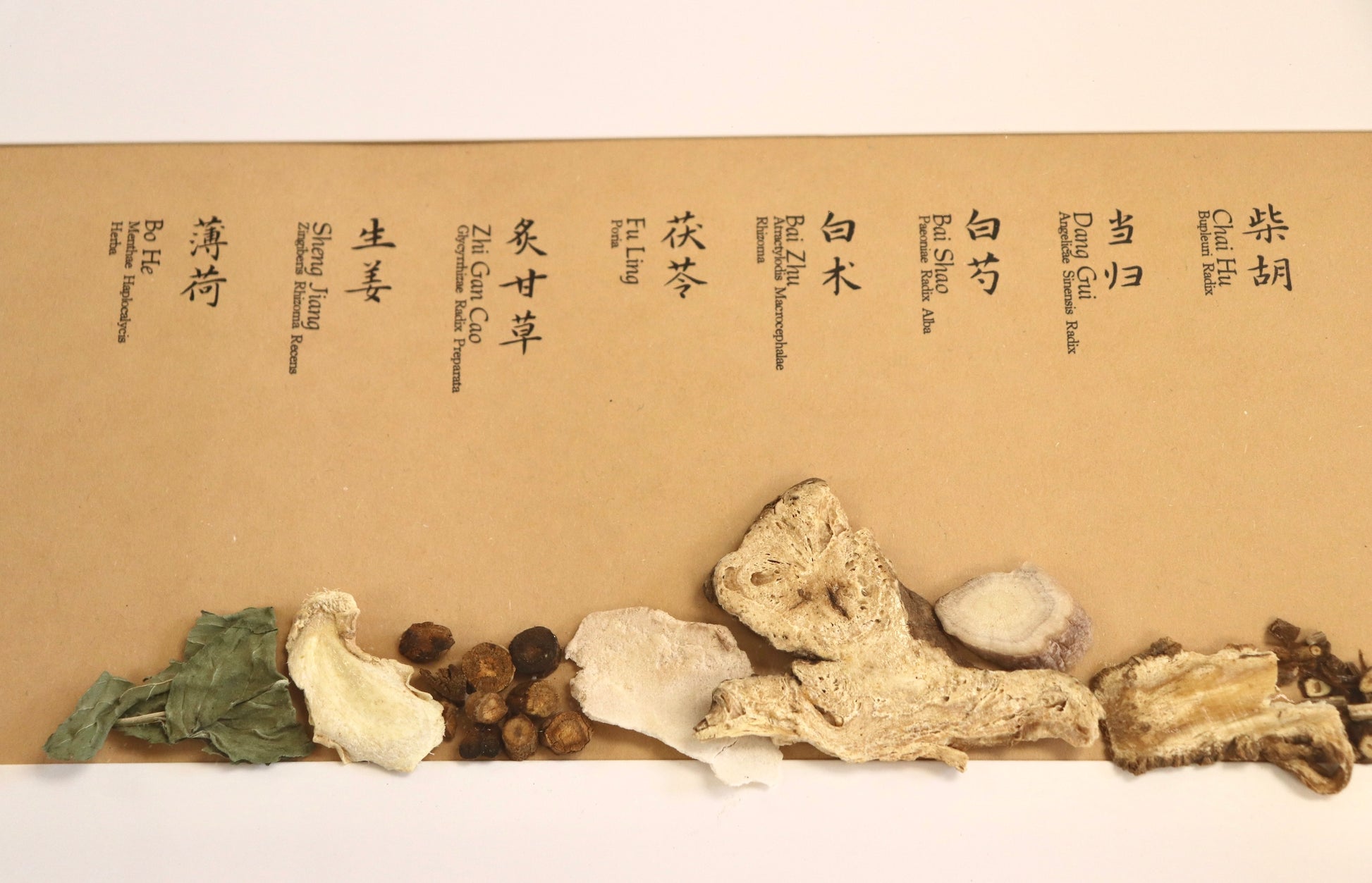 Herbal Harmony Art Series