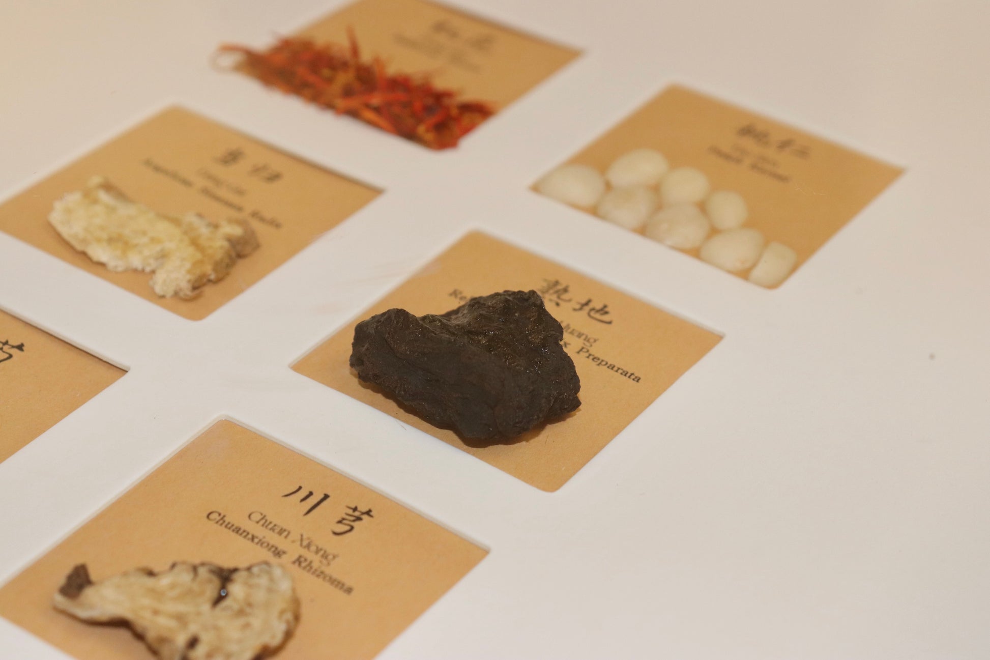 Herbal Harmony Art Series