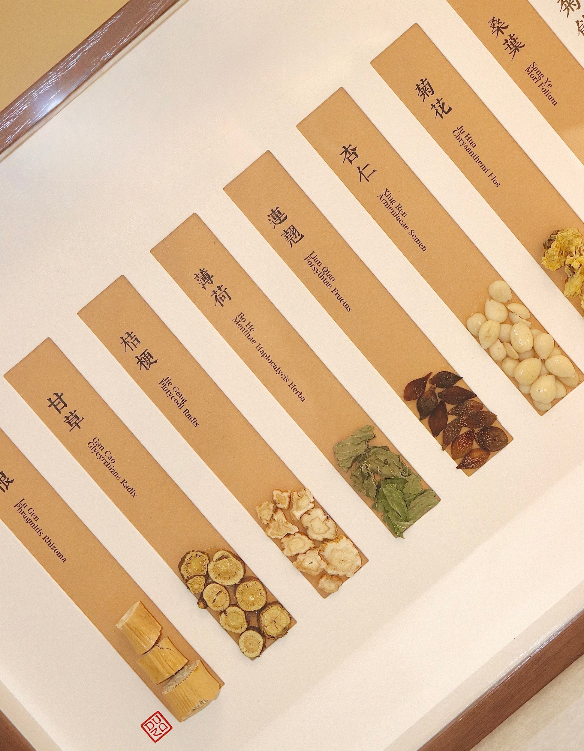 Herbal Harmony Art Series