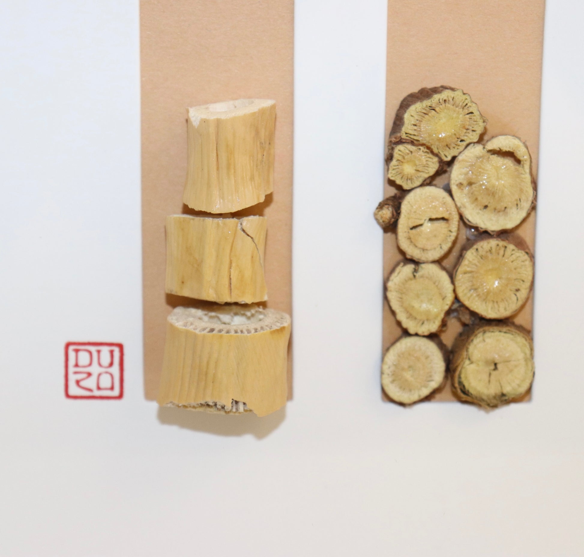 Herbal Harmony Art Series